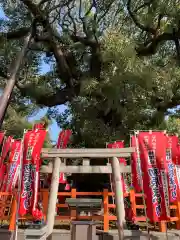 住吉大社の鳥居