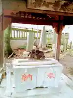 今井神社の手水舎