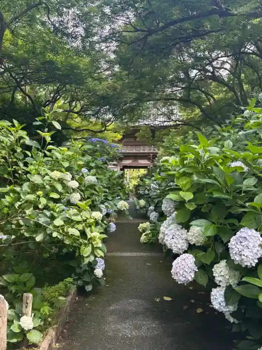 久安寺(大阪府)