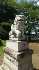 熊野神社の狛犬