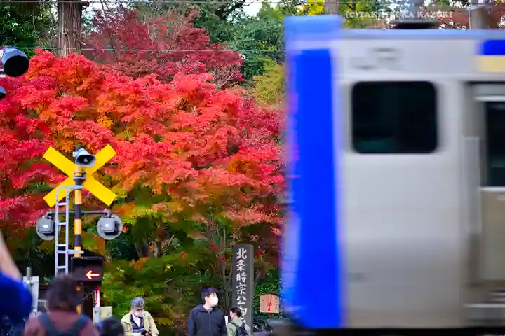 円覚寺(神奈川県)