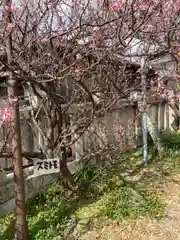 天神社(兵庫県)