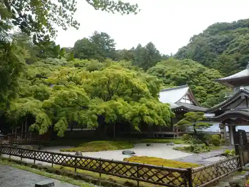 千如寺大悲王院の庭園