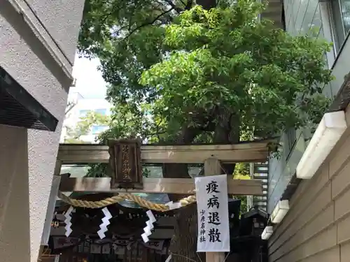 少彦名神社の鳥居