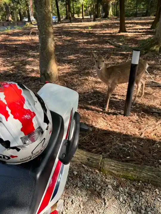 春日大社(奈良県)