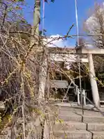 春日神社の鳥居