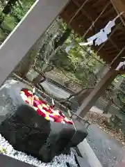 千歳神社の手水