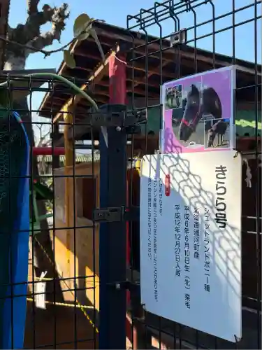 五方山熊野神社(東京都)