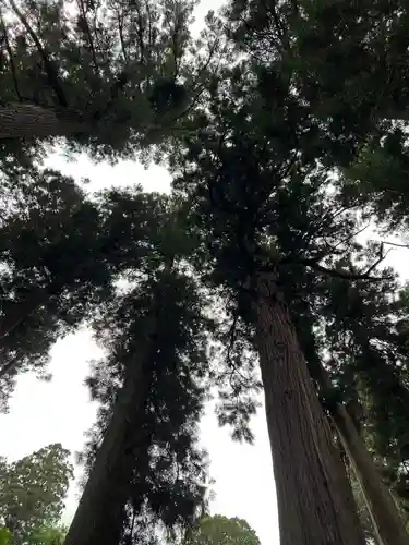 大宮温泉神社(栃木県)