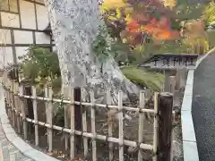 宇賀神社(神奈川県)