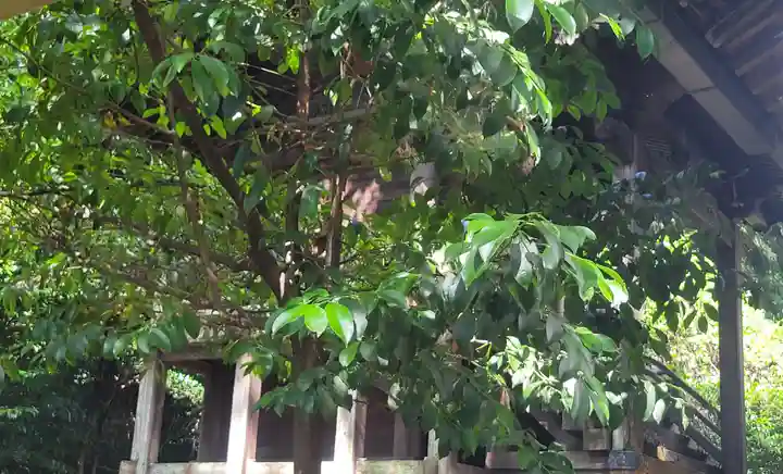 南豫護国神社(愛媛県)