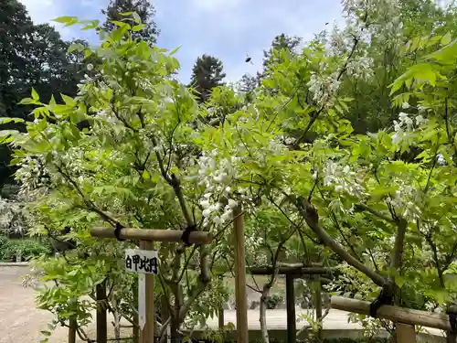 歌泉堂（春日大社神苑萬葉植物園内鎮座）(奈良県)