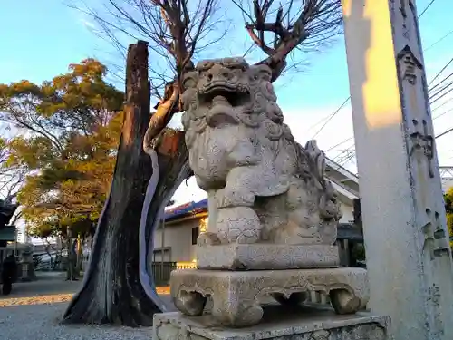 小倉神社の狛犬