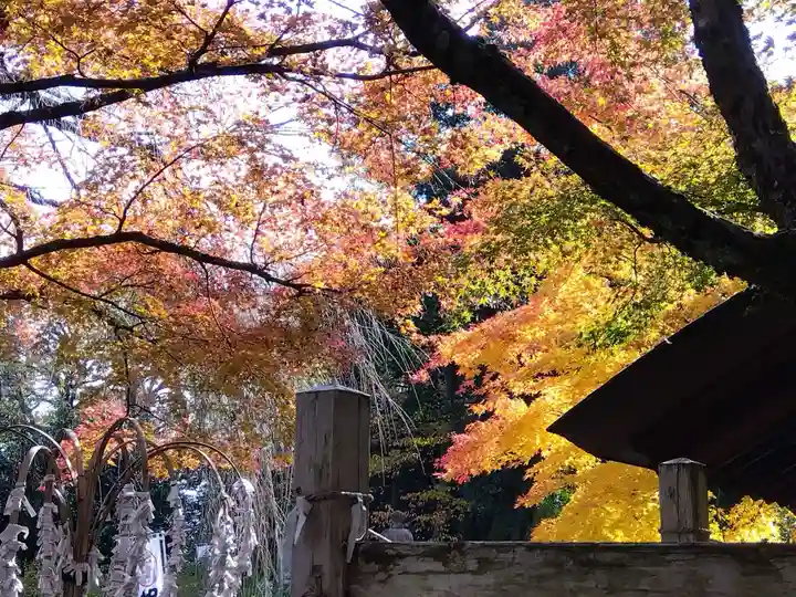 足羽神社(福井県)
