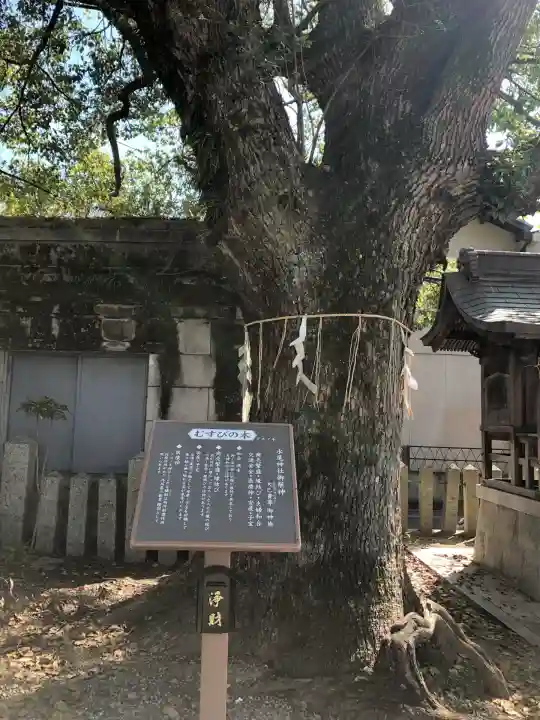 水尾神社(兵庫県)