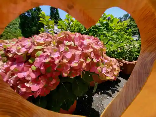 柳谷観音　楊谷寺(京都府)