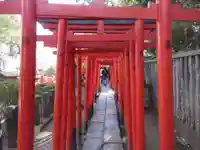 乙女稲荷神社(東京都)