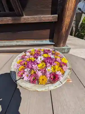 観音寺(東京都)