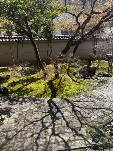 栽松寺の{uncategorized: "未分類", other: "その他", undefined: "問題あり", building: "その他建物", grave: "お墓", sacred_gate: "鳥居", guardian: "狛犬", statue: "像", buddha: "仏像", history: "歴史", nature: "自然", garden: "庭園", animal: "動物", pagoda: "塔", temizu: "手水舎", mountain_gate: "山門・神門", sanctuary: "本殿・本堂", subordinate: "末社・摂社", art: "芸術", scenery: "景色", jizo: "地蔵", ema: "絵馬", goshuin: "御朱印", omikuji: "おみくじ", items: "授与品その他", amulet: "お守り", goshuincho: "御朱印帳", eats: "食事", festival: "お祭り", votive_dance: "神楽", shichigosan: "七五三参", wedding: "結婚式", experience: "体験その他", initially: "初詣", around: "周辺", anti_infection: "感染症対策"}