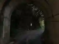 九頭龍稲荷神社(千葉県)