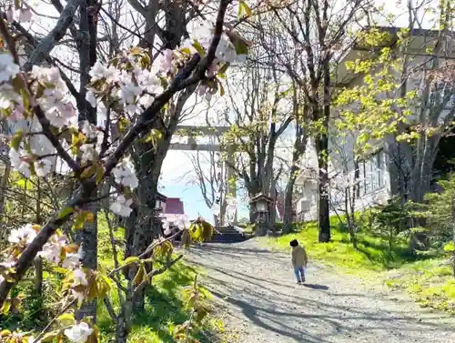 釧路一之宮 厳島神社のその他建物