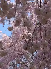  久延彦神社(奈良県)