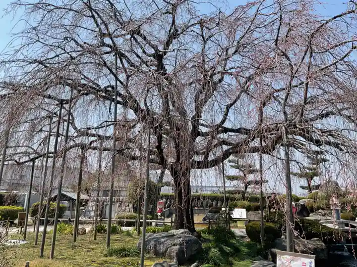 正眼寺(愛知県)