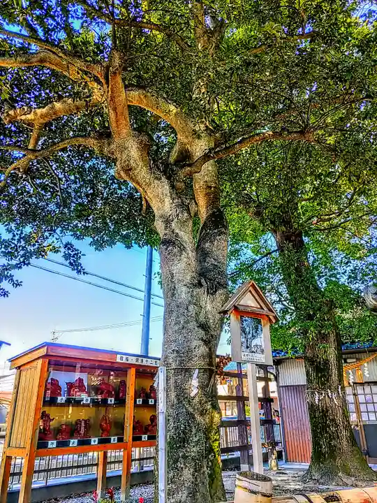 白山神社の自然