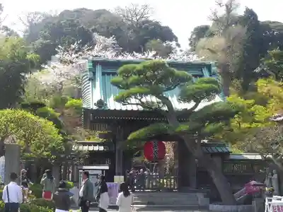 長谷寺の山門・神門