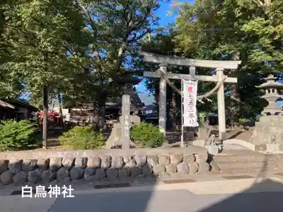 白鳥神社(長野県)
