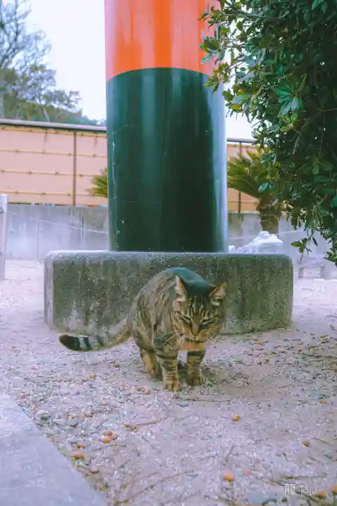 淡嶋神社(和歌山県)