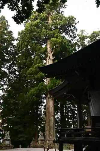 戸隠神社中社(長野県)