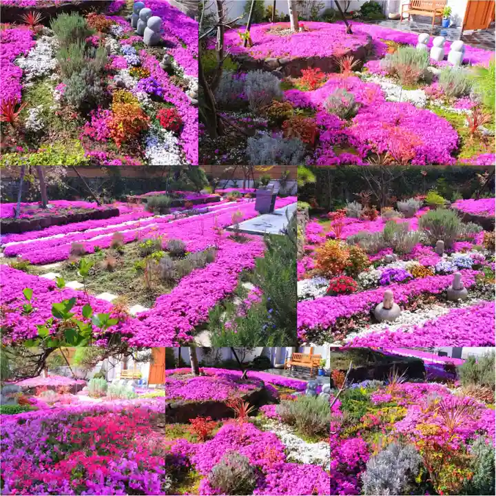 寿量山 速成寺(奈良県)