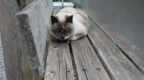 清滝寺(高知県)