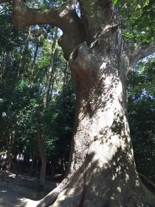 神服織機殿神社(皇大神宮所管社)の自然