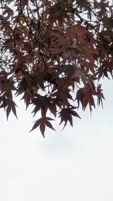 くろ谷 金戒光明寺(京都府)