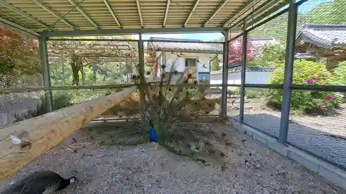 天台宗 五大山 白毫寺(兵庫県)