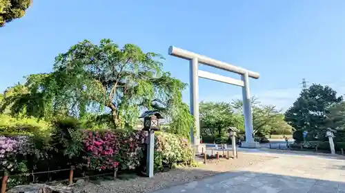 櫻木神社の鳥居