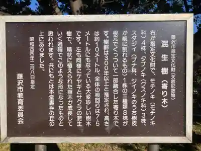 慈眼寺(神奈川県)