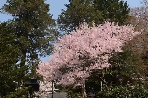 土津神社｜こどもと出世の神さまの自然