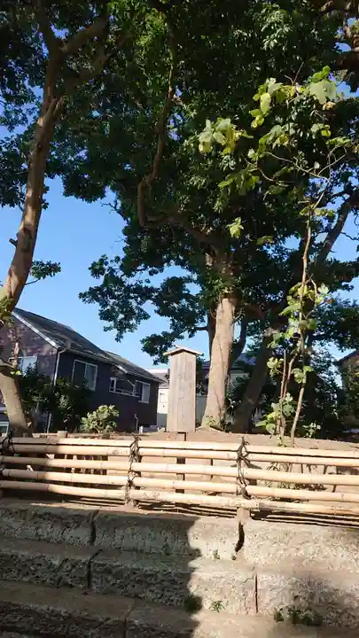 片瀬諏訪神社の自然