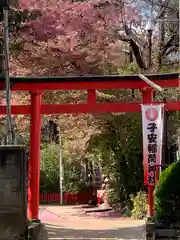 子安稲荷神社の鳥居