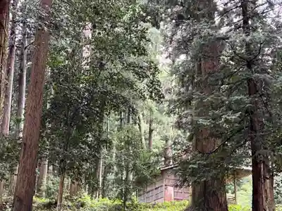 大宮温泉神社(栃木県)