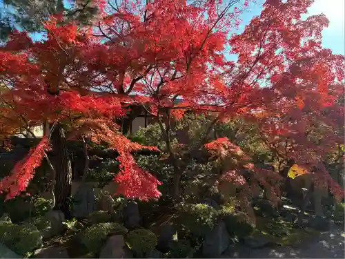 法観寺(京都府)