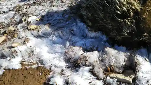 箱根元宮の自然