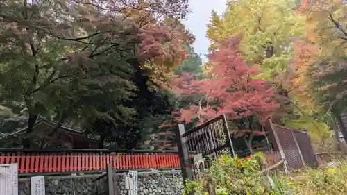 観音寺（山崎聖天）(京都府)