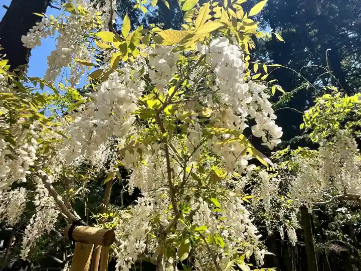 歌泉堂(春日大社神苑萬葉植物園内鎮座)(奈良県)