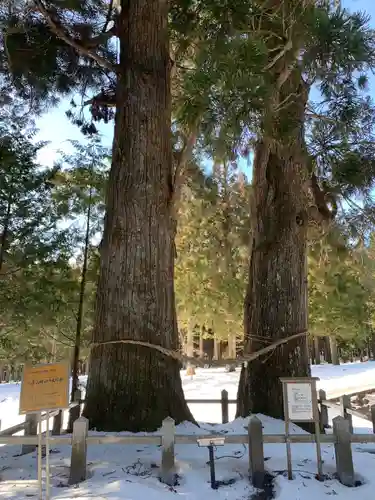 岩手山神社の自然