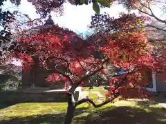 長壽寺（長寿寺）(神奈川県)