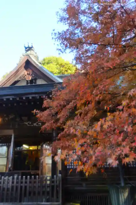本土寺(千葉県)